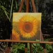 Sunflower, oil, 10 in x 10 in