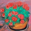 Geraniums, oil, 18 in x 24 in